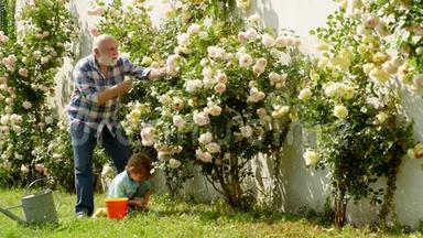 孙子和爷爷花时间在果园里.. 孙子和爷爷种植.. 他喜欢和爷爷说话